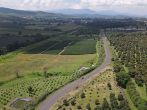 Con 176.6 mdp, SCOP mejora camino Tocumbo-Cotija-Puente Jaripo