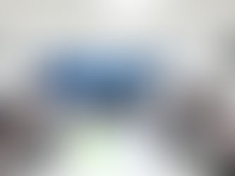 Coordinación y estrategias conjuntas para garantizar la estabilidad y la seguridad ciudadana en el estado: ALS