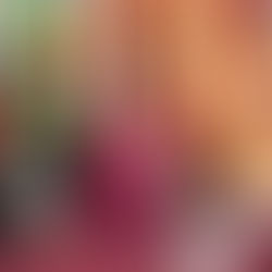 Adelanta diputada Sandra Arreola paquete de iniciativas en favor del medio ambiente