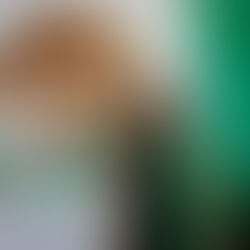 Sandra Areola, en su primer año de gestión, impulsa agenda con perspectiva de género y medioambiental