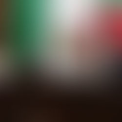 Congreso del Estado incrementa penas en delitos de maltrato y crueldad animal