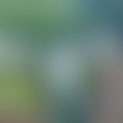 Rescate del canal de Tzentzénguaro revitaliza el lago de Pátzcuaro: Compesca