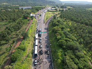 SSP brindó apoyo para traslado de 154 detenidos al Centro Penitenciario de Apatzingán