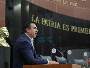 Urge plataforma digital para comercializar artesanías: Senador Marco Trejo