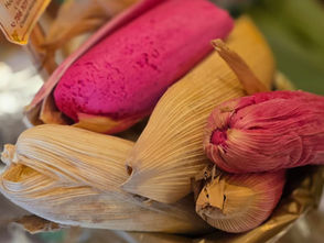 Sabor y tradición te esperan en la Feria del Tamal y el Atole de Ciudad Hidalgo