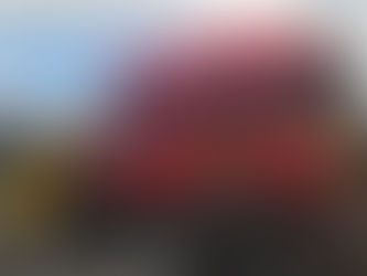 Detiene FGE a presunto responsable de delitos contra el ambiente, en Morelia