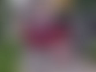 Cámaras de videovigilancia del C5i coadyuvan a recuperar el 53% de vehículos robados: Cam Alert