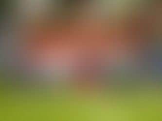 Movimiento Ciudadano, la alternativa que trabaja por un Michoacán Ciudadano con Visión de Futuro