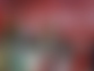 Grecia Quiroz es víctima del Sistema de Gobierno y de Justicia, no necesita victimizarse: Memo Valencia