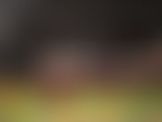 Reconoce 75 Legislatura aportación del Colmich a la preservación de la historia de Michoacán y el país