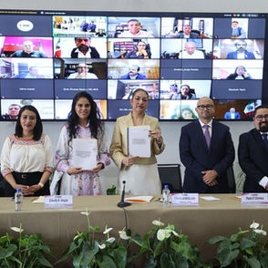 Consejera Carol Arellano impulsa desde la Red Cívica Mx propuestas para fortalecer la educación cívica en la Reforma Electoral