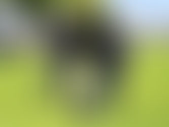 Condenan a 50 años de cárcel a dos personas responsables de doble homicidio ocurrido en Morelia