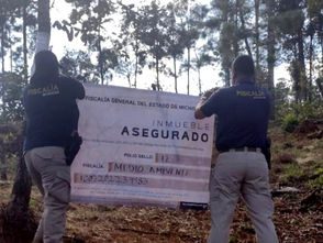 En cateo, asegura Fiscalía General predio relacionado en delitos Contra el Ambiente