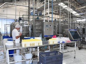 Recupera Michoacán 3 mil 526 Empleos en Agosto