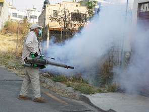SSM no dará tregua al dengue