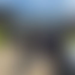 Michoacán y Guerrero refuerzan coordinación operativa para blindar la zona limítrofe