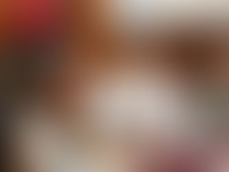 Octavio Ocampo destaca valor de intercambios legislativos internacionales en aras de protección de migrantes