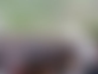 Respaldo del pueblo es la mayor fortaleza de la presidenta y de la 4T, afirma Morón