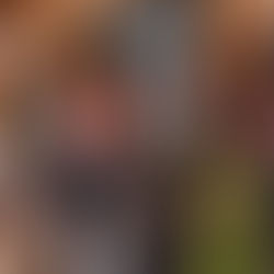 Con acciones concretas vamos a garantizar accesibilidad de personas con discapacidad en el Congreso: Nalleli Pedraza