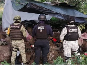 SSP, Sedena y GN desmantelan campamento usado por célula delictiva