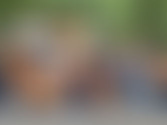 SORPRENDENTE CRECIMIENTOTIENE PINA OROZCO