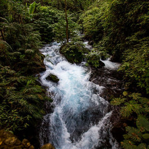 Uruapan te espera, descubre la belleza natural de su parque nacional: Sectur