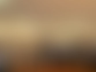 Aalcaldes electos del PRD accederán a programas de “Mariana Trinitaria”