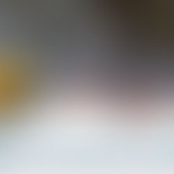 Entre conciertos millonarios y colectas ciudadanas: el Ayuntamiento de Morelia deja a brigadistas a merced de la caridad