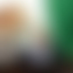 Propone Memo Valencia que partidos destinen 10% de presupuesto a grupos prioritarios