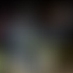 Gobierno de Morelia presume retiro masivo de licencias a giros C. Pero la verdad está en "veremos".