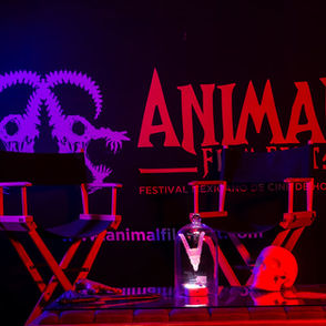 ¡ANIMAL Film Fest 2025 todo un éxito!
