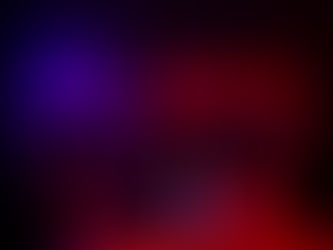 ¡ANIMAL Film Fest 2025 todo un éxito!