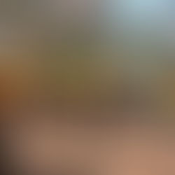 Michoacán logra reducir más del 44 % la superficie afectada por incendios forestales