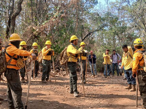 Michoacán logra reducir más del 44 % la superficie afectada por incendios forestales