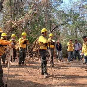 Michoacán logra reducir más del 44 % la superficie afectada por incendios forestales