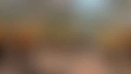 Michoacán logra reducir más del 44 % la superficie afectada por incendios forestales