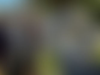 Honran la memoria del último gran muralista, Alfredo Zalce, en su 23 aniversario luctuoso