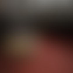 Congreso del Estado aprueba que personas con discapacidad se desplacen libremente con animales de asistencia