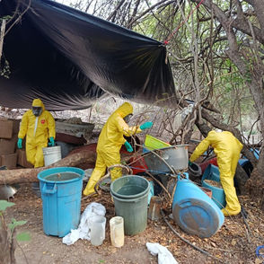 Asegurados 843 kg de drogas en laboratorio clandestino de Aquila: SSP