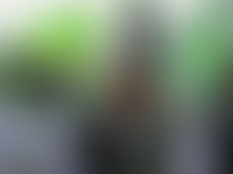 En Michoacán no habrá declinaciones por nadie; todo el respaldo para Magaña de la Mora: PVEM