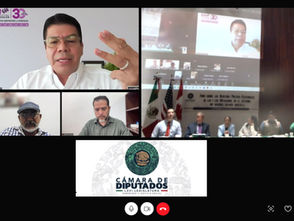 Foro federal en el Congreso de la Unión destaca necesidad de una reforma electoral con visión binacional: IEM