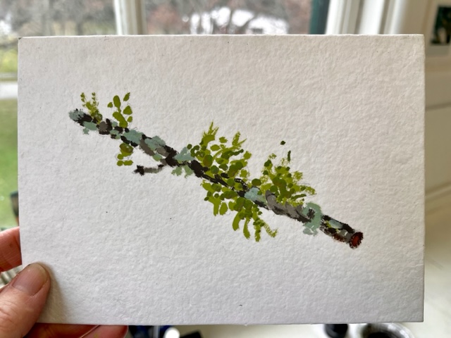 Gouache study of moss and lichen on a branch