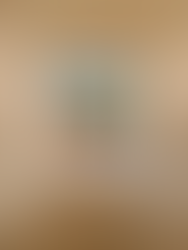 A student artwork created during Teresa Stern's Bold Landscape Minis Oil Pastel Workshop.