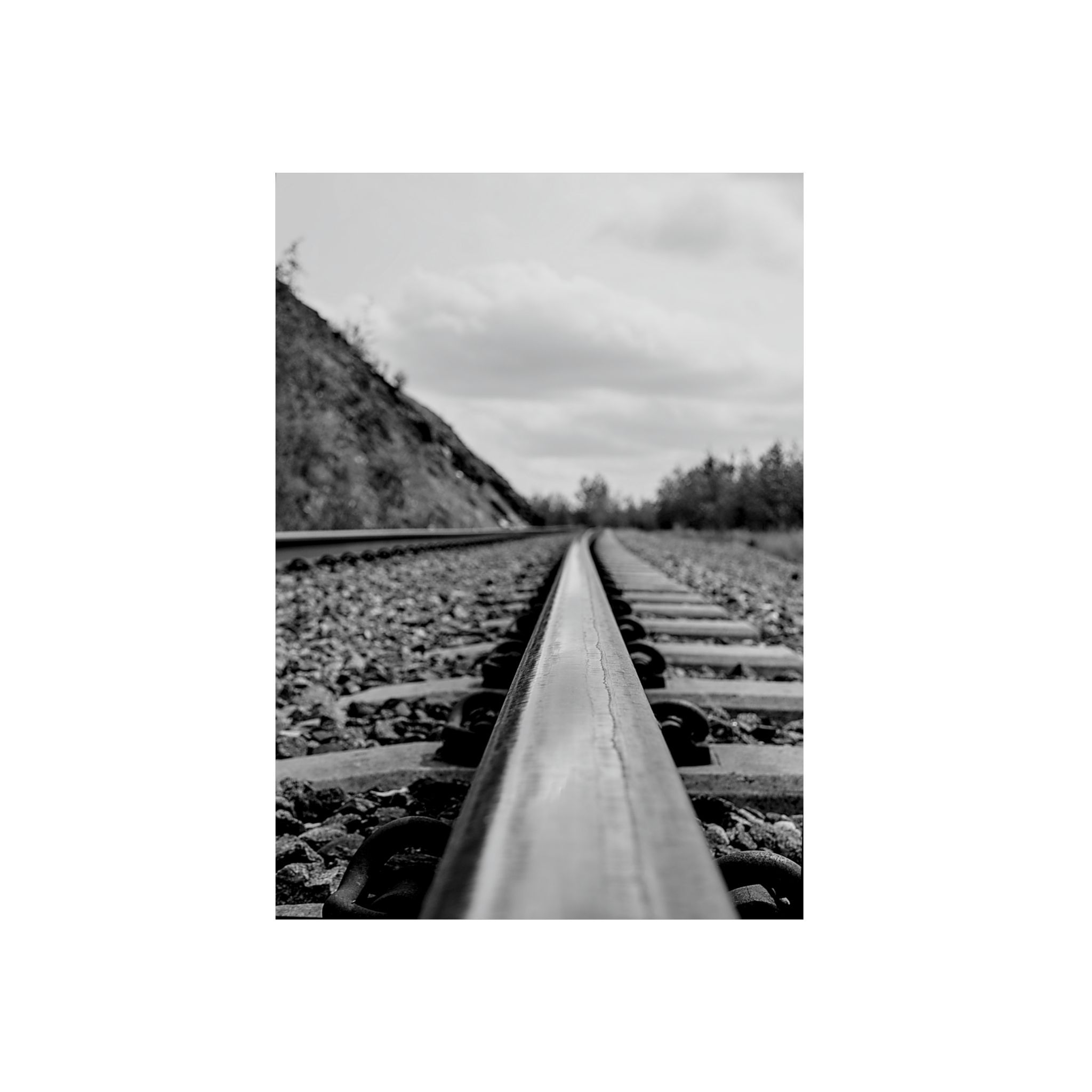 Follow the Tracks - Aluminum Composite Panel