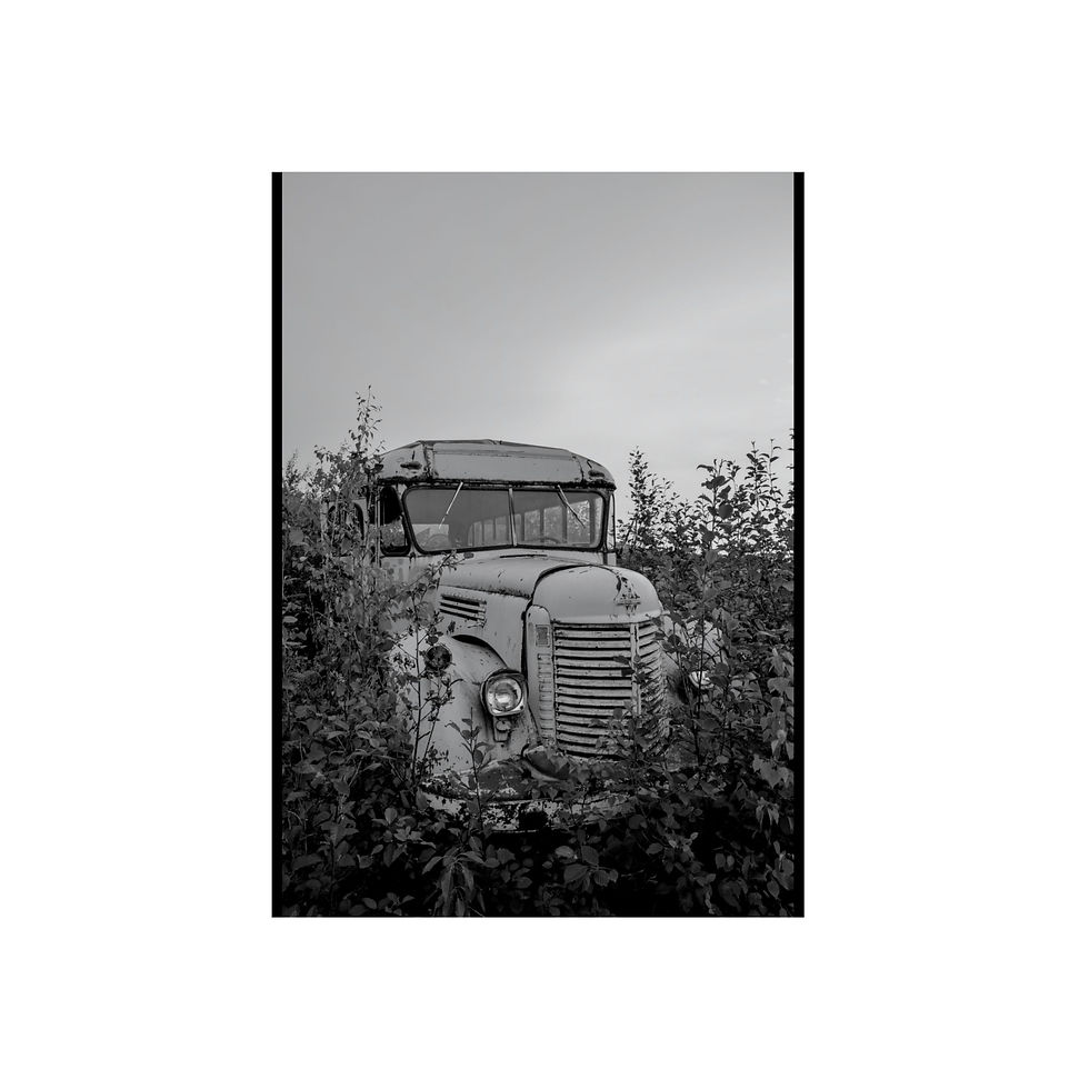 Bus to the Past - Aluminum Composite Panels