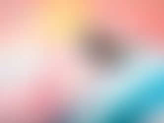 How to Spoil Your Pet for National Love Your Pet Day