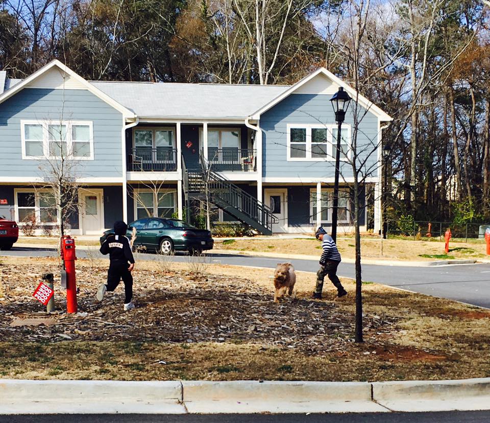 Contact / Athens Area Homeless Shelter / Athens