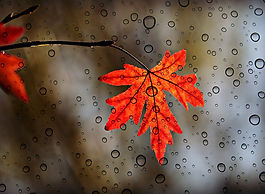 fall-duct-cleaning