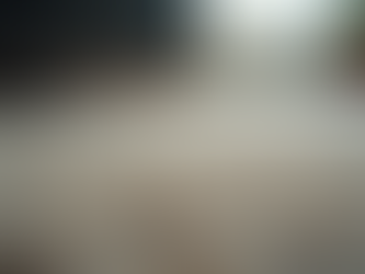 Understanding and Managing Dust Mite Allergies