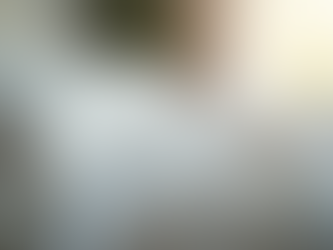 Effective Ways to Manage Dust Mite Allergies - Allergy Management Tips